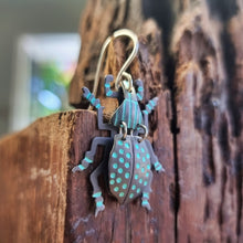 Load image into Gallery viewer, Weevil Drop Earrings