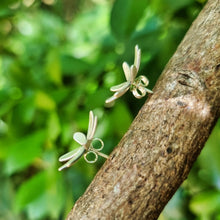 Load image into Gallery viewer, Flannel Flower Studs on a branch side view of butterfly backings