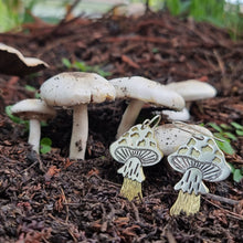 Load image into Gallery viewer, Fly Agaric Toadstool Mushroom Drop Earrings resting on an actual mushroom in my garden, side on view