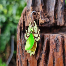 Load image into Gallery viewer, Leaf insect earrings - the image shows a leaf mimicking insect earring crafted from lime‑green car vinyl with recycled brass detailing, sterling‑silver hook, and hypoallergenic stainless‑steel jump rings, shown hanging against natural wood with a soft green outdoor background. It is a side on perspective showing how the abdomen curves out like the real insect.