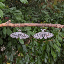 Load image into Gallery viewer, Mistletoe Moth Earrings hanging on a branch. They are made of copper with a black patina and have hand painted white zigzag patterns on the wings.