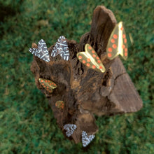 Load image into Gallery viewer, Mistletoe Moth Studs