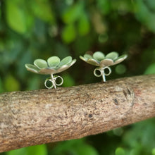 Load image into Gallery viewer, Paper Daisy Studs side view on a tree branch