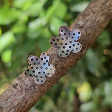Load image into Gallery viewer, Petunia Studs sitting on a branch
