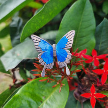 Load image into Gallery viewer, Ulysses Butterfly Brooch Pin