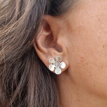 Load image into Gallery viewer, Geraldton Waxflower Studs Modelled by Jemica close up view