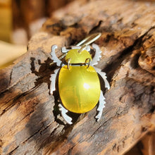 Load and play video in Gallery viewer, Christmas Beetle 3 colour options VIDEO