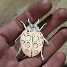 Load image into Gallery viewer, Lady Beetle Drop Earrings