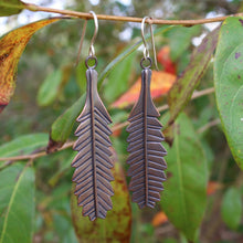 Load image into Gallery viewer, Banksia Serrata Leaf Earrings hanging on a branch
