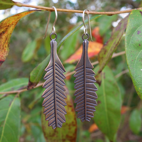 Banksia Serrata Leaf Earrings hanging on a branch