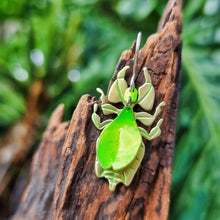 Load image into Gallery viewer, Leaf insect earrings - the image shows a leaf mimicking insect earring crafted from lime‑green car vinyl with recycled brass detailing, sterling‑silver hook, and hypoallergenic stainless‑steel jump rings, shown hanging against natural wood with a soft green outdoor background. It is a front on perspective.
