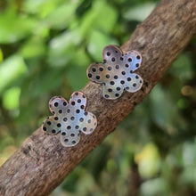 Load image into Gallery viewer, Petunia Studs sitting on a branch
