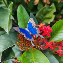 Load image into Gallery viewer, Ulysses Butterfly Brooch Pin
