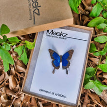 Load image into Gallery viewer, Ulysses Butterfly Brooch Pin

