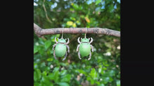Load and play video in Gallery viewer, Christmas Beetle Drop Earrings on a Branch Video 2
