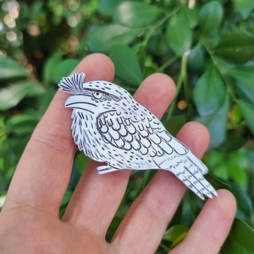 Tawny Frog Mouth Brooch on hand