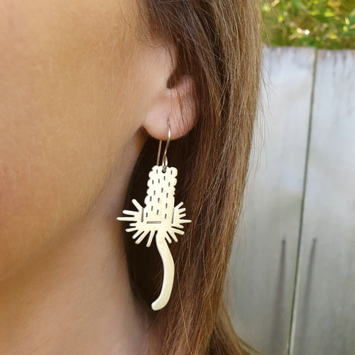 Australian native flower earrings - banksia modelled up close